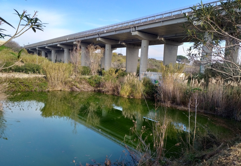 Brindisi. Parco urbano del Cillarese