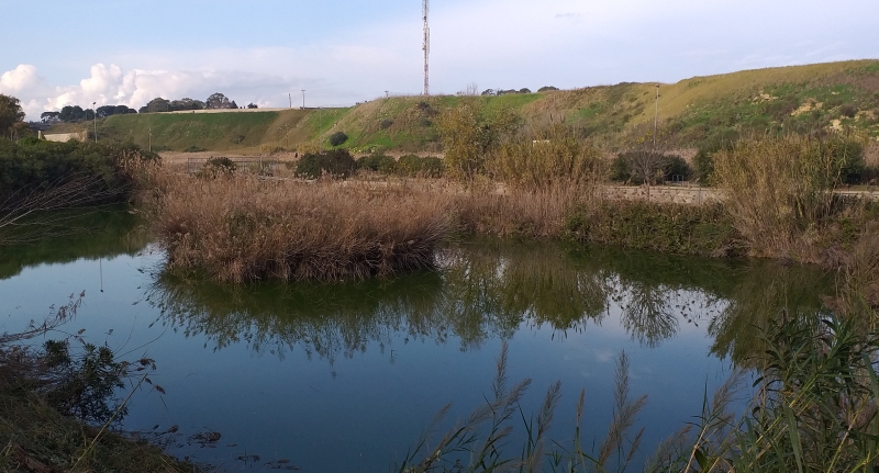 Brindisi. Parco urbano del Cillarese