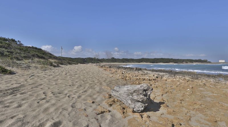 Spiaggia del parco delle Dune Costiere - ph. sito ufficiale