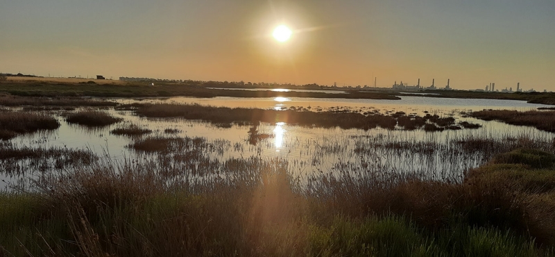 Brindisi. Foce di Fiume Grande