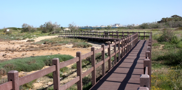 Parco di Punta Penne - Punta del Serrone