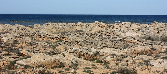 Parco di Punta Penne - Punta del Serrone. Campi carreggiati
