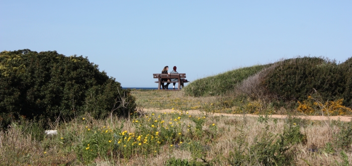 Parco di Punta Penne - Punta del Serrone.