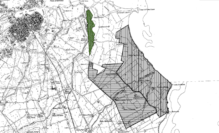 La cartina del Parco Naturale Regionale Salina Punta della Contessa, in verde l'area inerente Fiume Grande