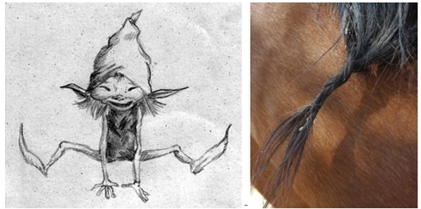 Lu Lauru e la treccina alla criniera del cavallo (dal web)