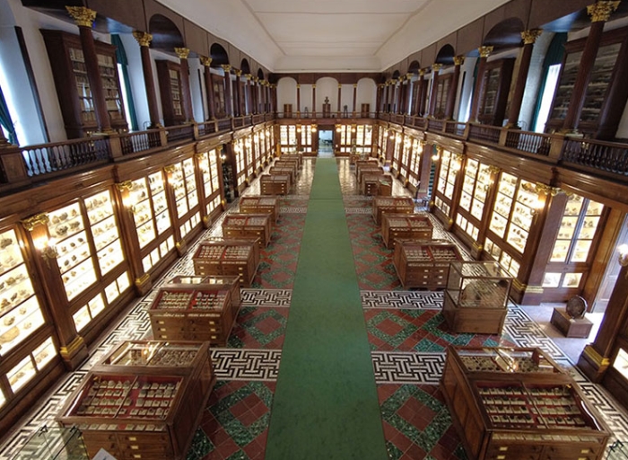 Sala Monumentale del Real Museo Mineralogico(3)