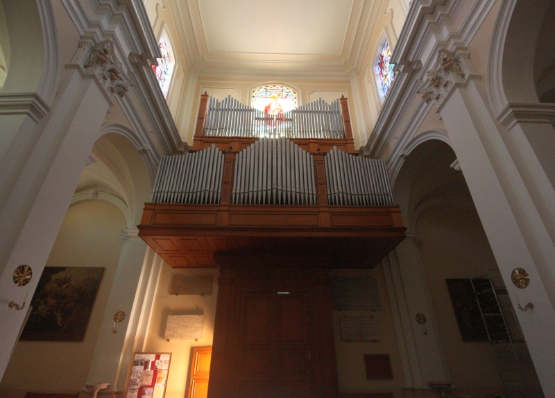 Brindisi. Cattedrale. Interno. Organo a canne