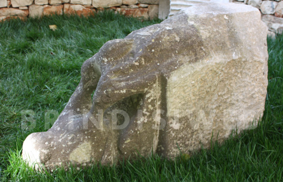 Fig.9: Museo di Brindisi. Animale stiloforo utilizzato come paracarro davanti al vecchio Municipio