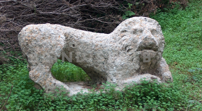 Brindisi. Masseria Mitrano. Il leone in tufo di epoca romana