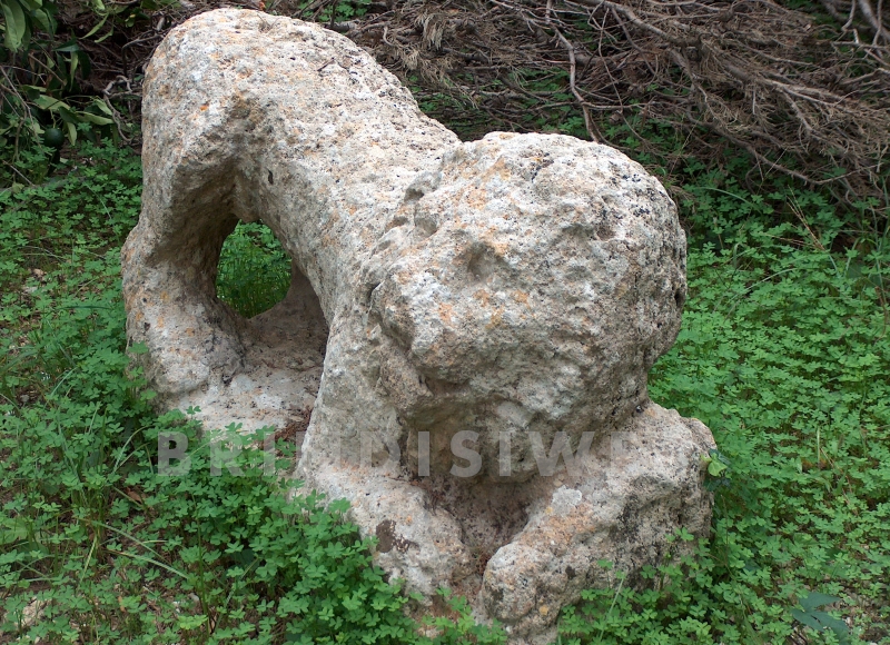 Brindisi. Masseria Mitrano. Il leone in tufo di epoca romana