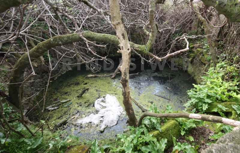 Vasca del Pozzo di Vito