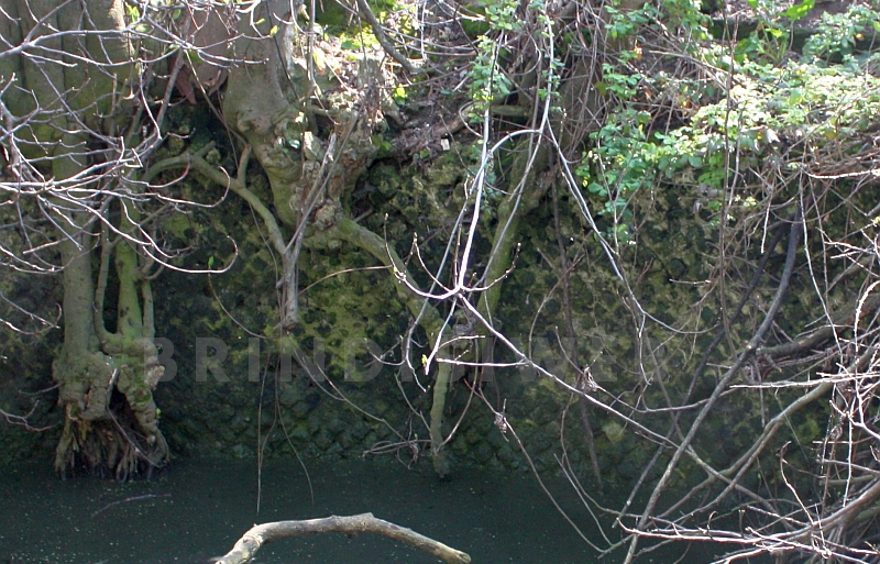 Il bacino di Pozzo di Vito. Particolare dell'opus reticulatum sulle pareti laterali