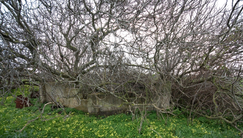 Il bacino di Pozzo di Vito. Il muretto di protezione al bacino