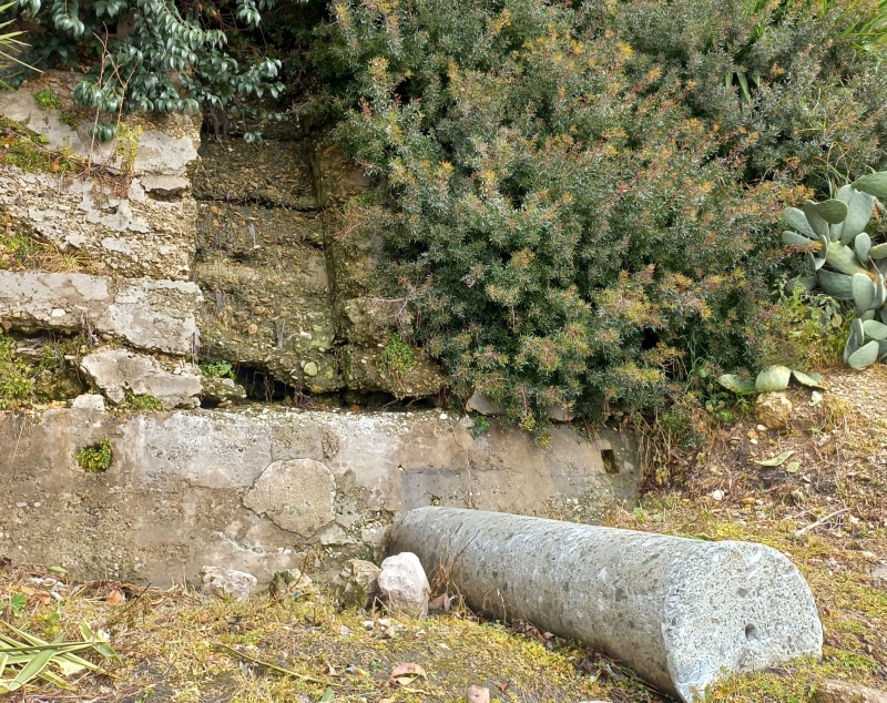 La scarpata nei pressi delle arcate a nord del Monumento al Marinaio, da dove ancora fuoriesce acqua sorgiva