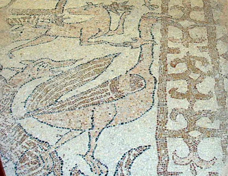 Duomo di Brindisi, particolare del mosaico