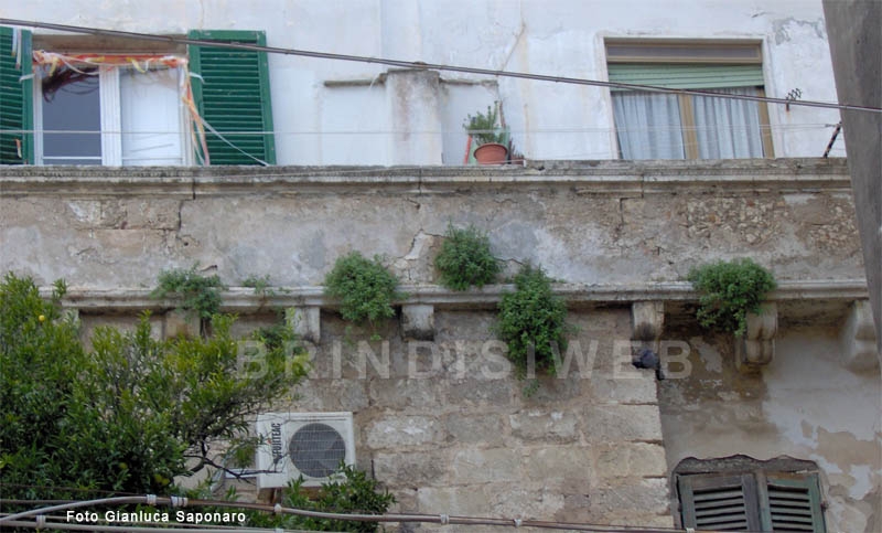 Palazzo Perez-Scolmafora, particolare delle mensole trecentesche