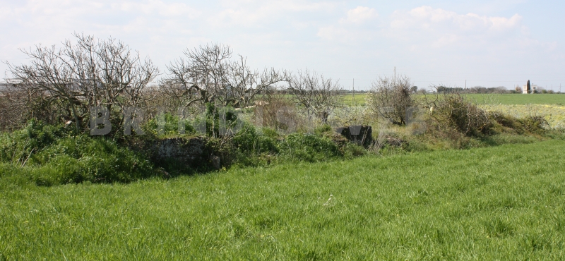 Brindisi. Località Apani. Il viadotto sulla Via Appia-Traiana prima degli interventi di recupero, ancora immerso nella vegetazione