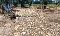 Parco Archeologico di Muro Tenente (Latiano - Mesagne)