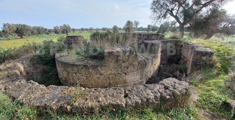 Francavilla Fontana. Specchia Giovannella