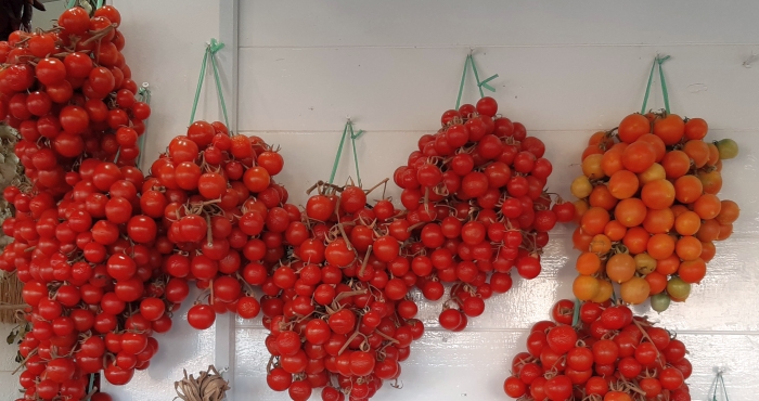 Le <em>pennule</em> di pomodori per l'inverno