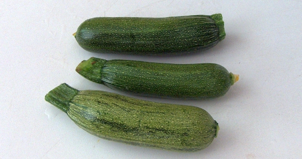 Zucchine