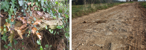 (sx) Resti di una basola nel fossato a nord-est del Bosco del Compare