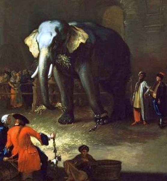 Dipinto dell'elefante realizzato da Giuseppe Bonito (particolare)