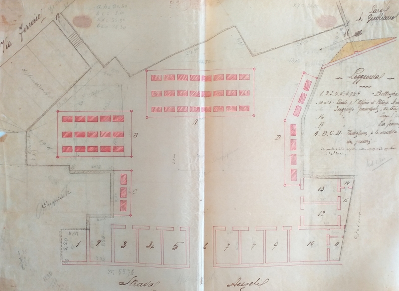 Progetto del mercato coperto 1903