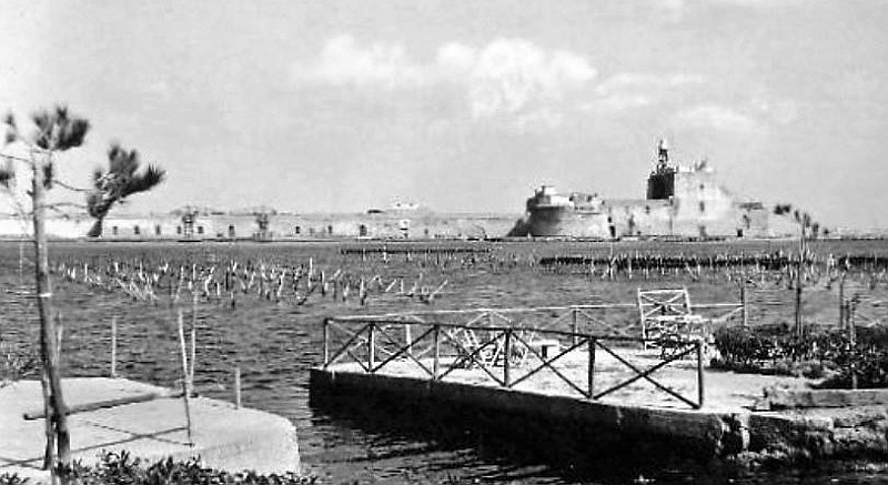 Brindisi, allevamento di mitili nel porto medio