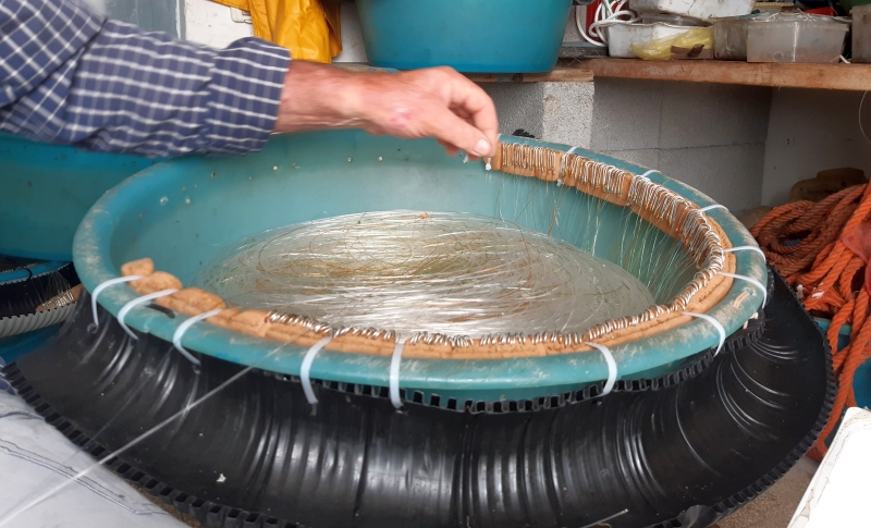 Il palamito (foto G. Membola)