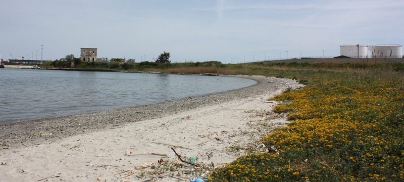 La spiaggia di Sant'Apollinare nel 2010